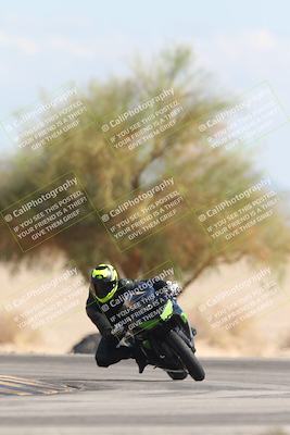 media/Oct-13-2025-Moto Forza (Mon) [[a66d839500]]/3-B Group/Session 4 Turn 4 Tree of Life/